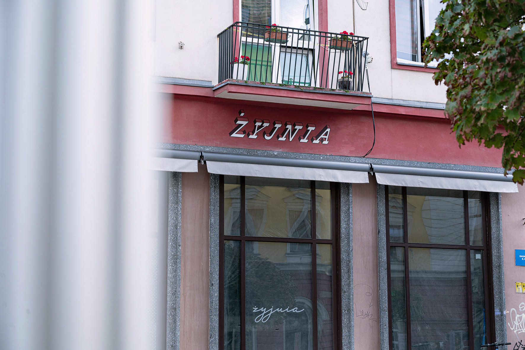 Żyjnia przy ulicy Świdnickiej – Nowa przestrzeń wytchnienia w sercu Wrocławia